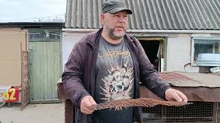 видео: Нутрия Нутрий нет, а вопросы есть. картинка: Нутрия Нутрий нет, а вопросы есть.