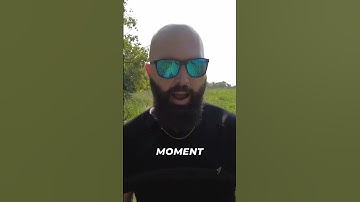 BITNEST is still making INSANE DeFi gains! 💰 #Shorts #bitnest