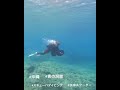 #沖縄 #恩納村 #スキューバーダイビング #水中スクーター