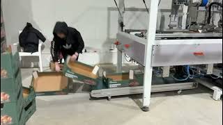 KKM-2 EVO Automatic Tray Forming Machine