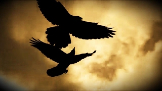 Video thumbnail of "Sonne Hagal ~ The Three Ravens"