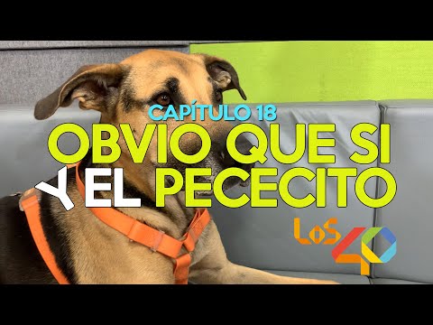 Obvio que si y el Pececito por Los40 - (20 de noviembre)