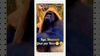 Kya, Bhaisaab Ghar par Hain?? || YOGESH DWIVEDI || shorts funny