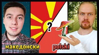 Macedonian Language VS. Polish | How similar are Slavic Languages?