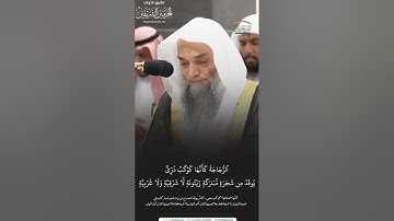مقتطف من تلاوة فضيلة الشيخ أ.د. #فيصل_غزاوي من صلاة العشاء 10 صفر 1446هـ.