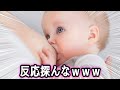 【衝撃】赤ちゃんのボケてがツッコミどころ満載だったwww【おもしろ画像】【ツッコミ系youtuber】【殿堂入りボケて】