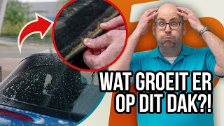 Sterk Verwaarloosd Cabriodak Softtop Reinigen Valt Dit Nog Te Redden?