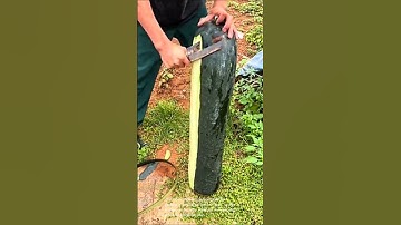 Peeling a giant winter melon: amazing knife skills