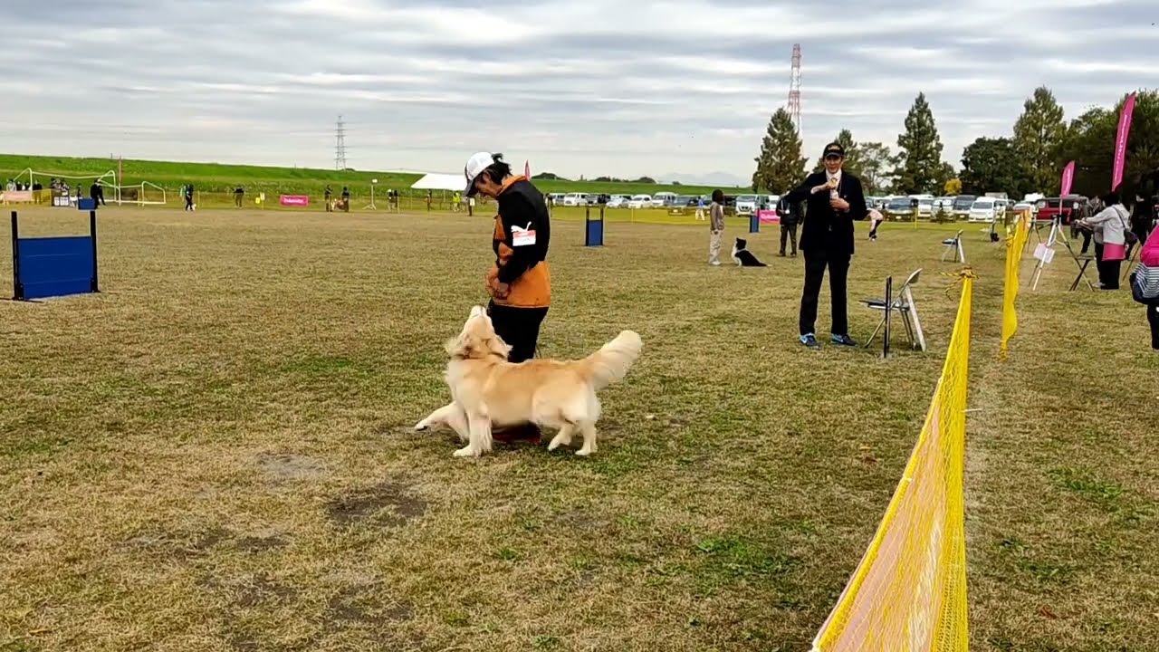 ココ JKC 2022 秋季訓練競技大会 CD2