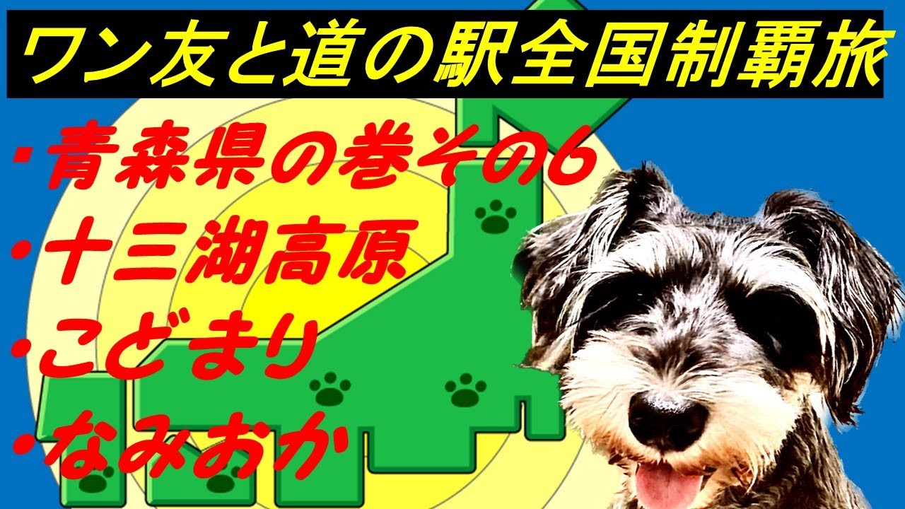 青森県の巻その6 びびりワンコと「道の駅」全国制覇達成を目指す旅チャンネル 現在886件達成済　 今回は①十三湖高原②こどまり③なみおか、ミニチュアシュナウザー6才の女子同伴