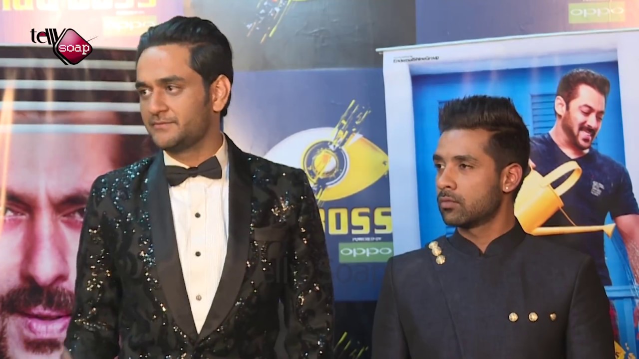 Vikas Gupta & Puneesh Sharma Exclusive Interview After Bigg Boss 11- Telly soap