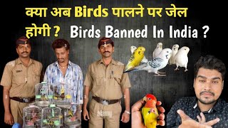 Legal and Illegal Birds Banned in India screenshot 5