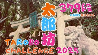 【太郎坊チャレンジ2025】379段の石段を駆け上がる。滋賀県東近江市太郎坊宮で行われた太郎坊チャレンジ!