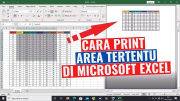 Cara Print Area Tertentu di Microsoft Excel