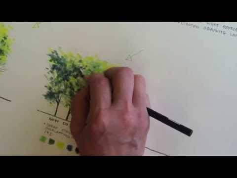 Rendering trees using