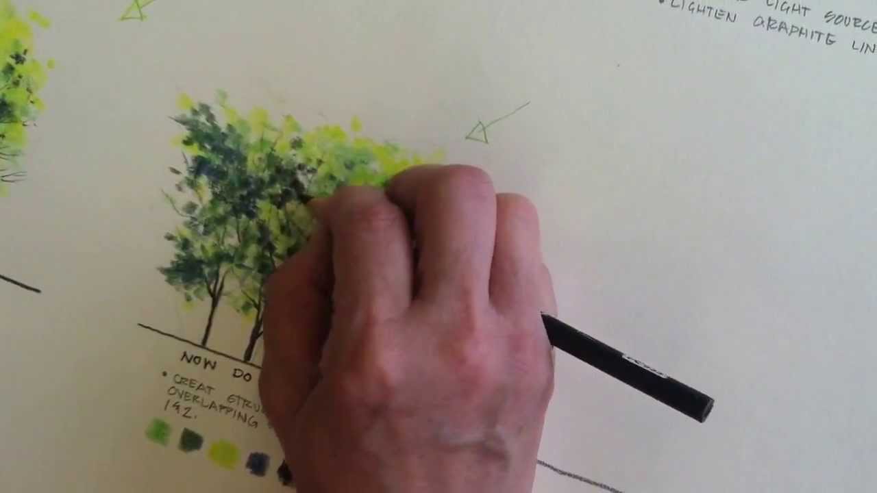 36+ Coloring a tree with colored pencils info