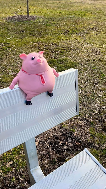 Blud was just chilling on the bench.#Jimmy #shorts #funny