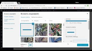 Видео урок: Размещение записи, загрузка товара на сайт WpShop в WordPress Видео урок: Размещение записи, загрузка товара на сайт WpShop в WordPress