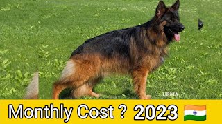 German shepherd monthly cost ? by Its_jack_GSD 2,378 views 7 months ago 2 minutes, 31 seconds