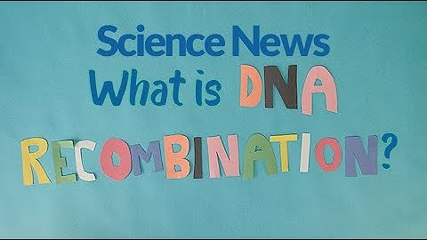 What is DNA recombination? | Science News
