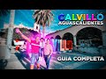 Video de Calvillo