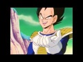 TFS Abridged Vegeta - Look at Your Man