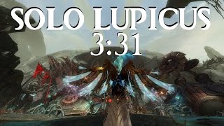 GW2: Solo Lupicus Berserker [3:31]