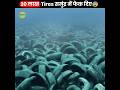 20  tires       when florida dumped 2 million tires in ocean  shorts thefact