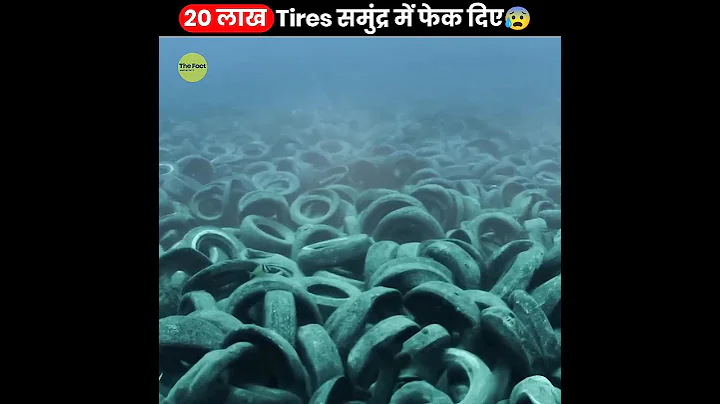 20 लाख Tires समुंद्र में फेक दिए 😨 | When Florida Dumped 2 Million Tires In Ocean | #shorts #thefact