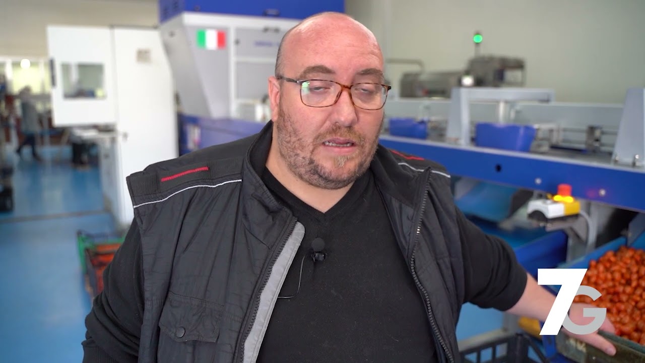Pomodoro tecnologia e innovazione: Linee di Selezione e Calibratura dei Pomodorini - Video