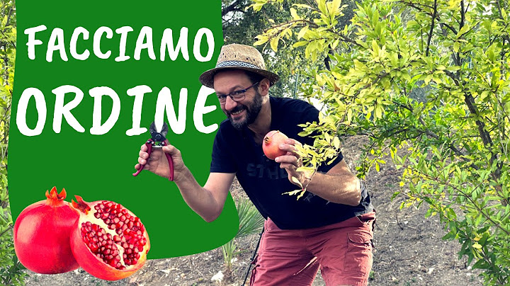 Potare il MELOGRANO: come e quando