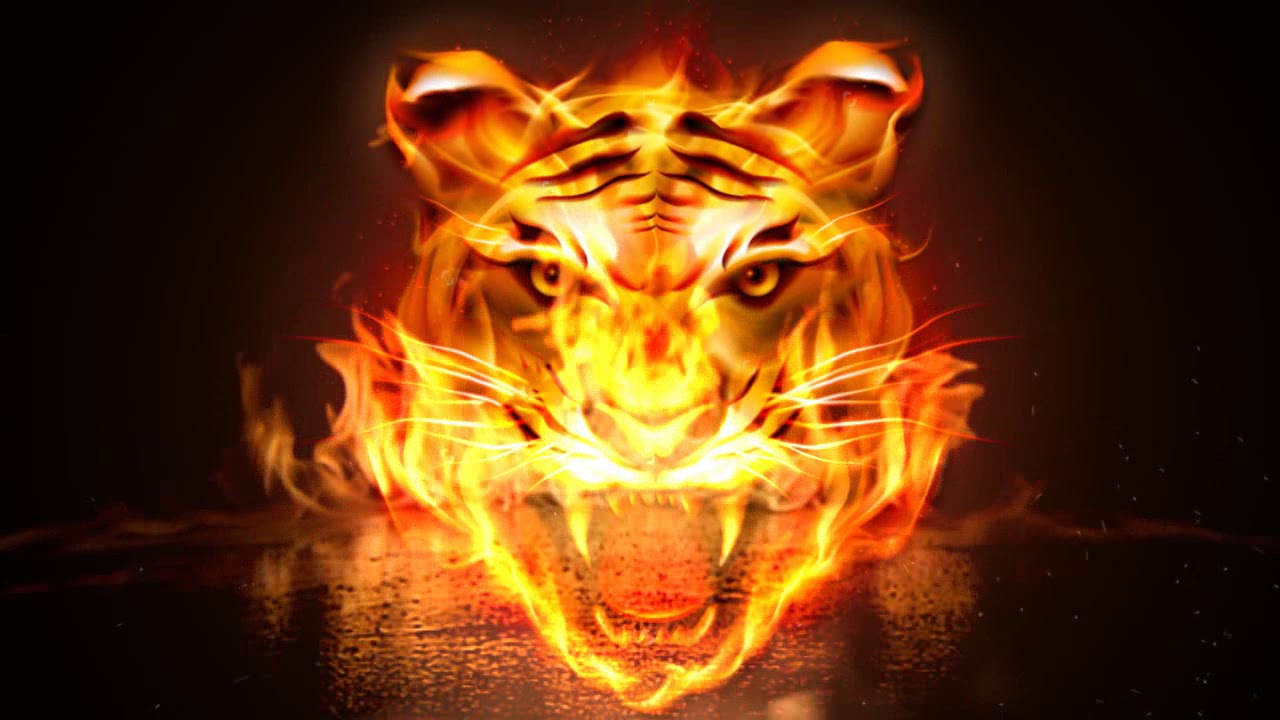 Flame Tiger Wallpapers  Top Free Flame Tiger Backgrounds  WallpaperAccess