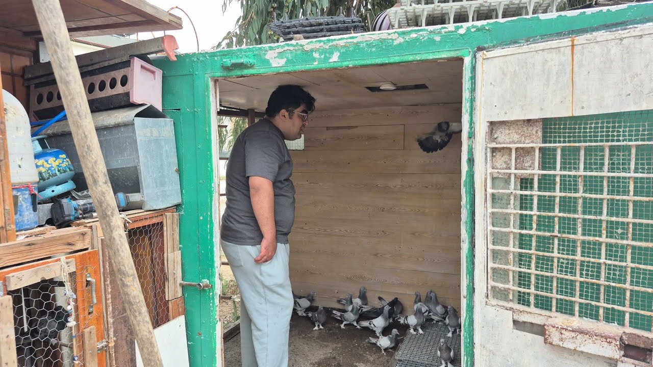 KÜMES YENİDEN ŞEKİLLENDİ ,BİTİK VAZIYET DEYİM