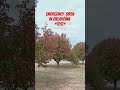 Every Saturday at Noon in Oklahoma the Emergency Sirens are Tested. I've heard them my whole life.