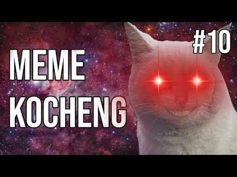 kocheng-bar-bar-special-edition-!-meme-kucing-#10