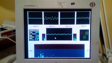 FleaFPGA: Visual Player 2