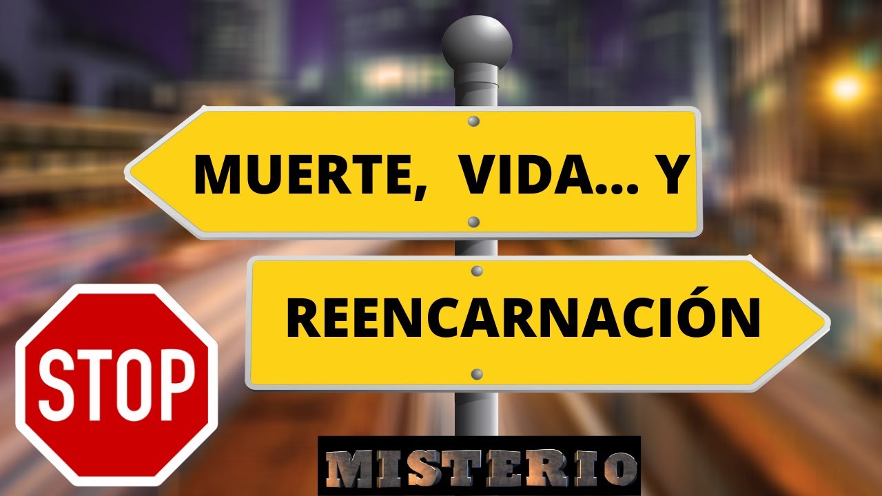 ¿QUÉ ES LA REENCARNACIÓN?  MIS GUÍAS. MI EQUIPO.  HISTORIAS REALES.