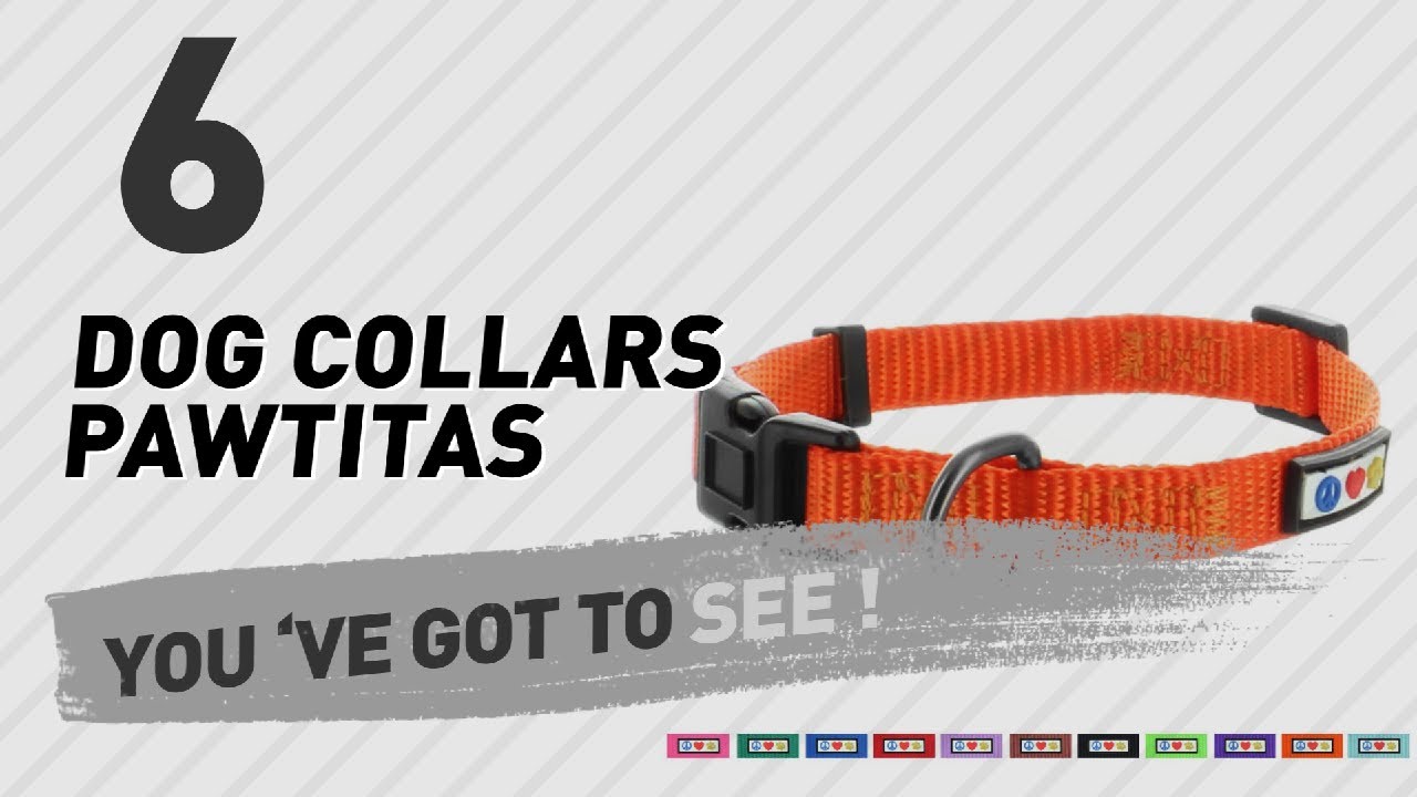 cats inn Dog Collars Pawtitas // Top 10 Most Popular