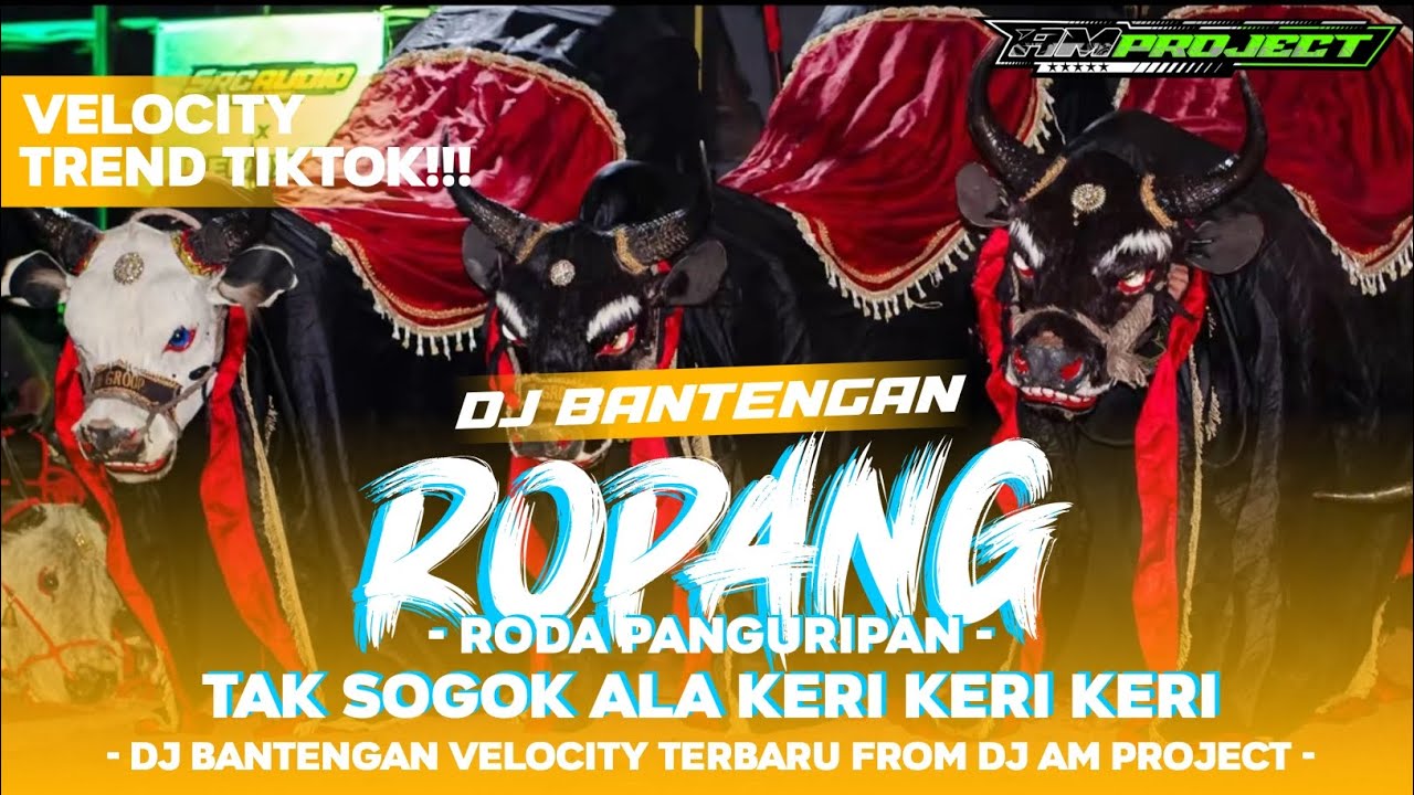 DJ BANTENGAN ‼️ ( ROPANG ) TAK SOGOK ALA KERI KERI KERI STYLE VELOCITY TIKTOK FROM DJ AM PROJECT