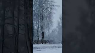 why you came into my life #ambientartist #snow #ambientmusic