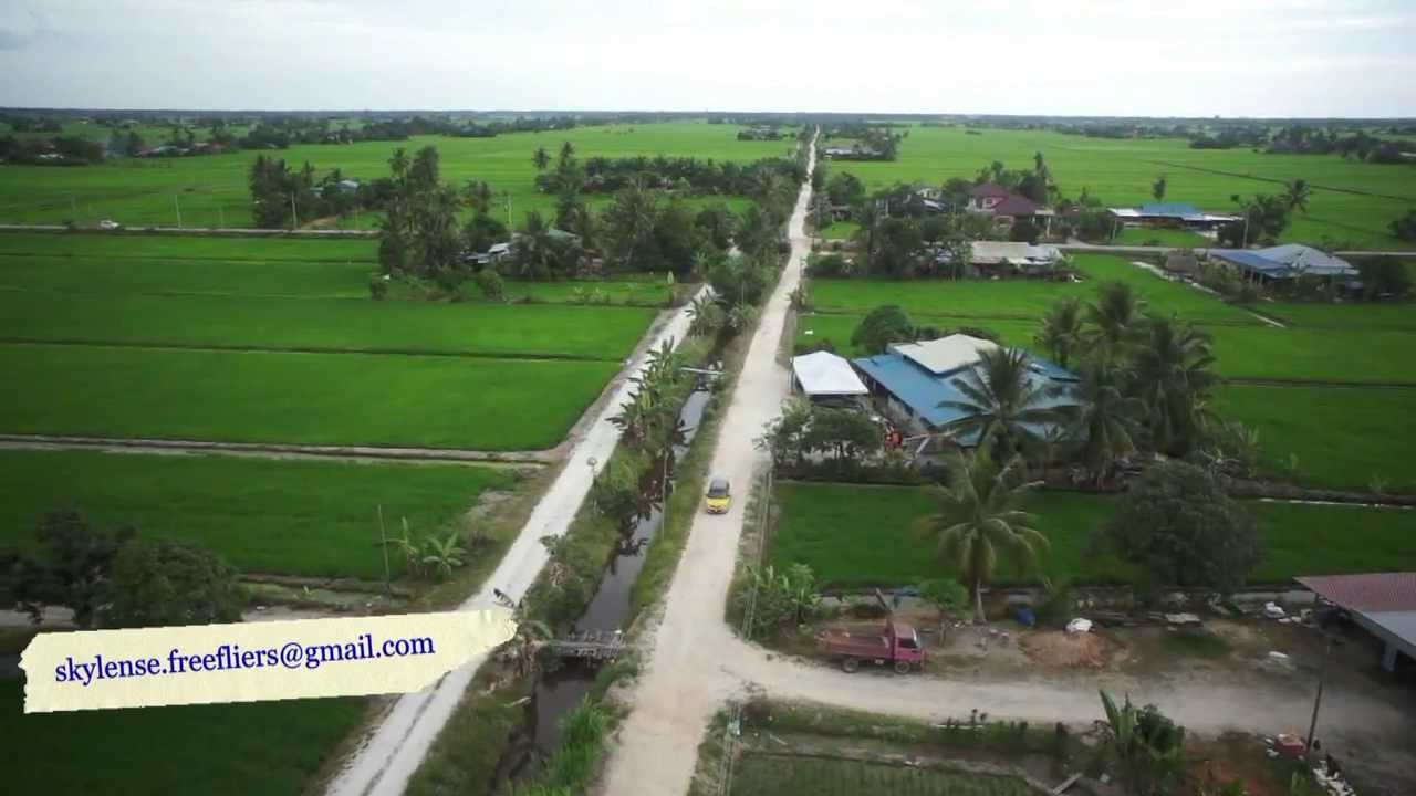 Sawah Sempadan Aerial View 