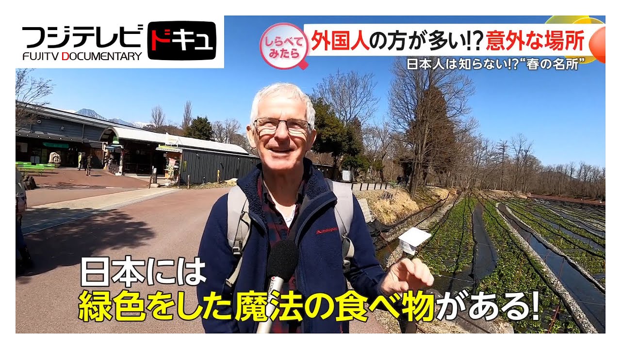 外国人が急増！意外なスポットの魅力【しらべてみたら】