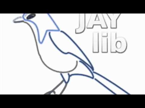 Jaylib - Strapped