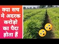 अदरक की खेती से क्या सच में लाखों करोड़ों रुपए काम सकता है😲|adrak ki kheti