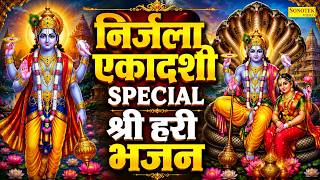 निर्जला एकादशी व्रत कथा | निर्जला एकादशी आरती | Nirjala Ekadashi Katha, Nirjala Ekadashi Bhajan 2026
