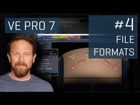 Vienna Ensemble Pro 7 - #4 File Formats