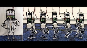 The Duke Humanoid: Design and Control For Energy Efficient Bipedal Locomotion Using Passive Dynamics