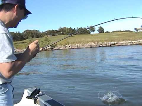 Wiper Fishing at Lake Milford Part 3