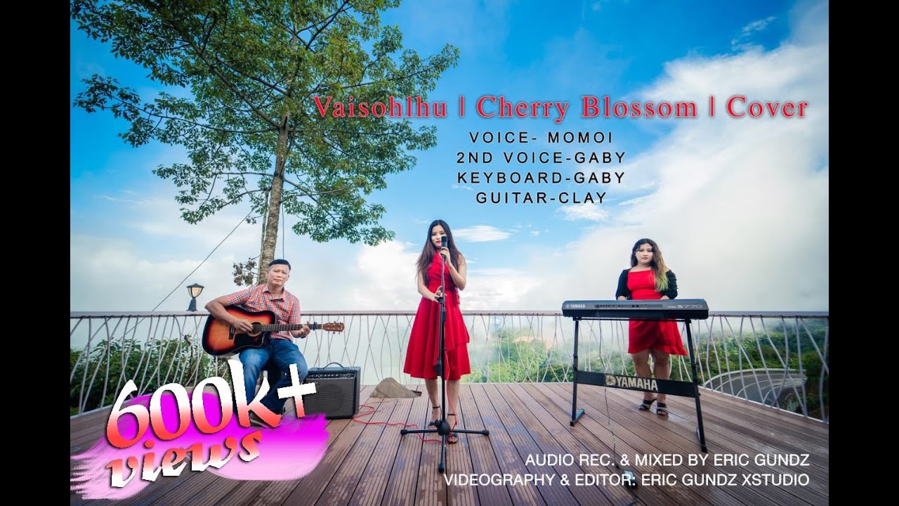 VAISOHLHUCHERRY BLOSSOMCOVER