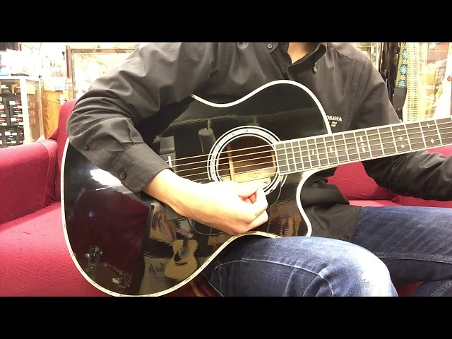 Martin CUSTOM GPC STYLE41 SGZ 【日本限定】 【SUGIZO 初の